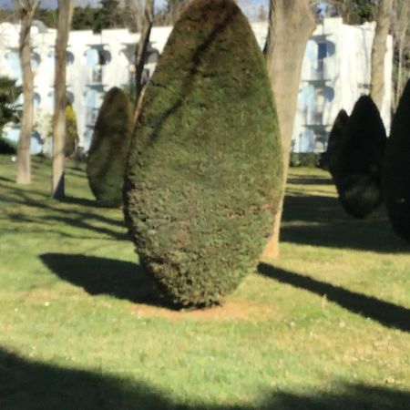 T3 Les Peupliers Proche Pasino Et Mer Apartman La Grande-Motte Kültér fotó