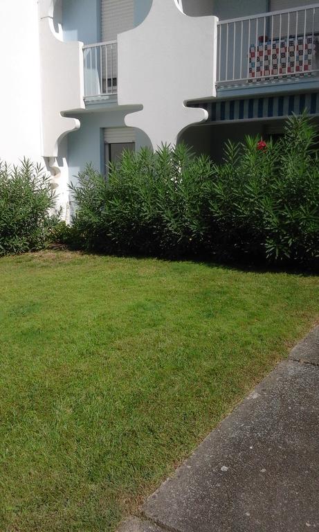 T3 Les Peupliers Proche Pasino Et Mer Apartman La Grande-Motte Kültér fotó
